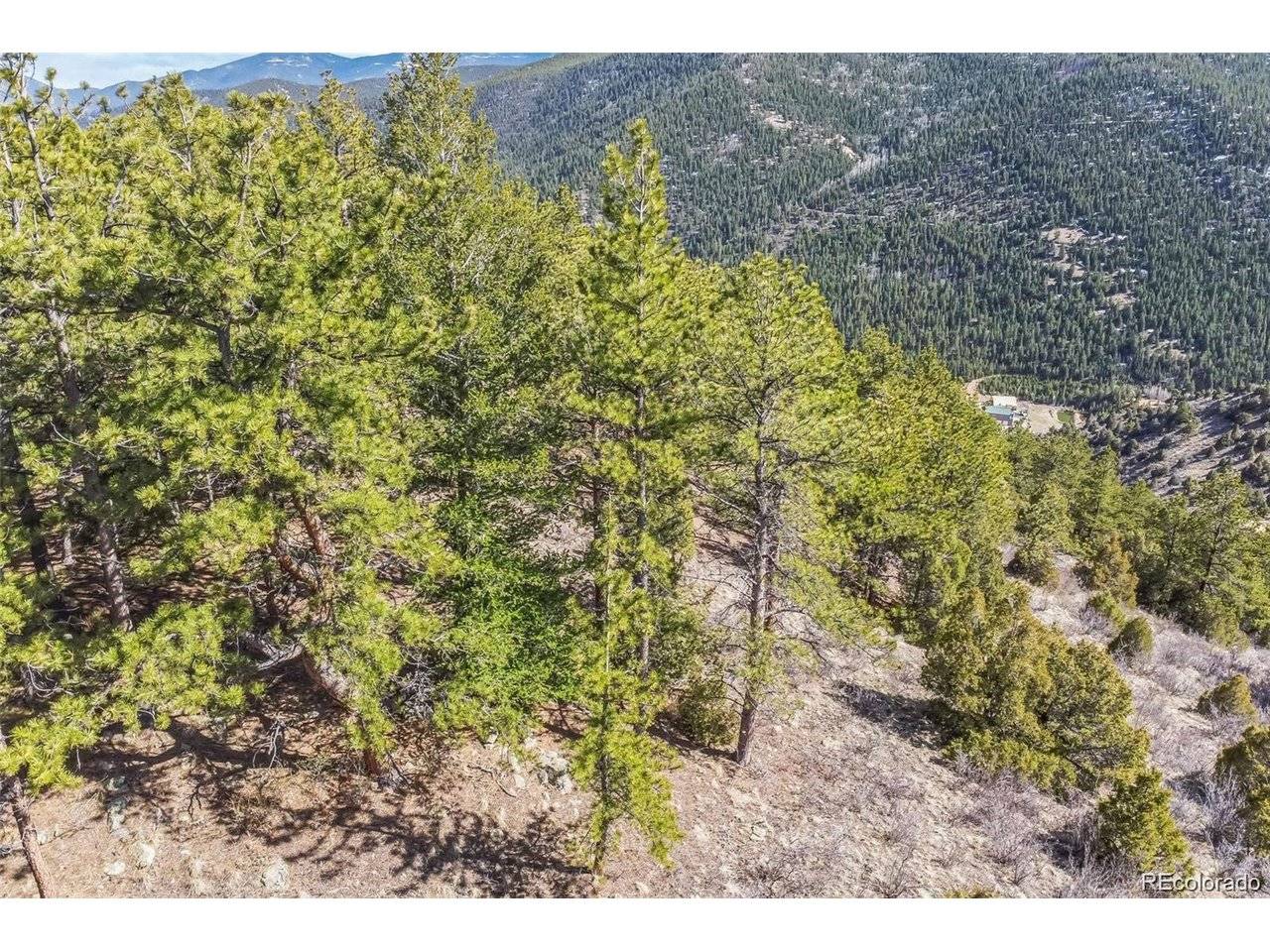 Wild Wagoner Tr, Dumont, CO 80452