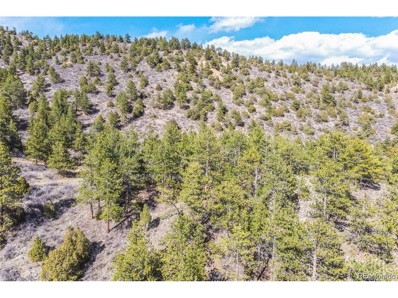 Wild Wagoner Tr, Dumont, CO 80452