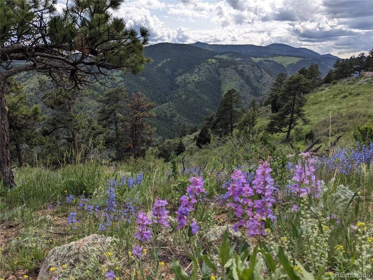 25421 Westridge, Golden, CO 80403