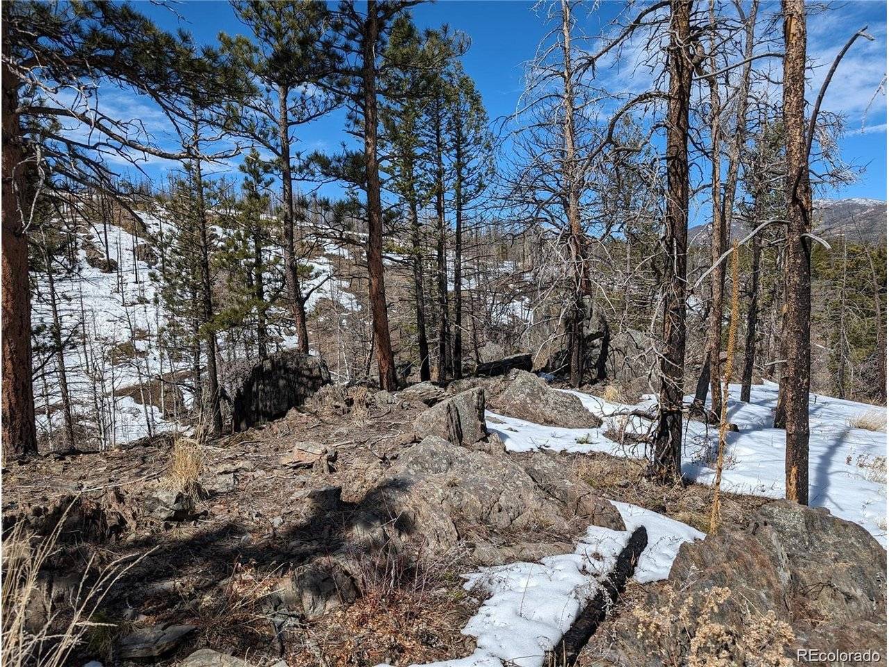 60 Powder Horn, Bellvue, CO 80512