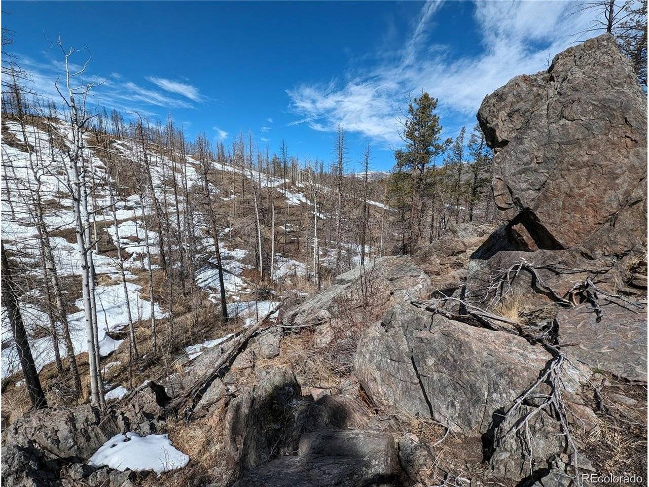 60 Powder Horn, Bellvue, CO 80512