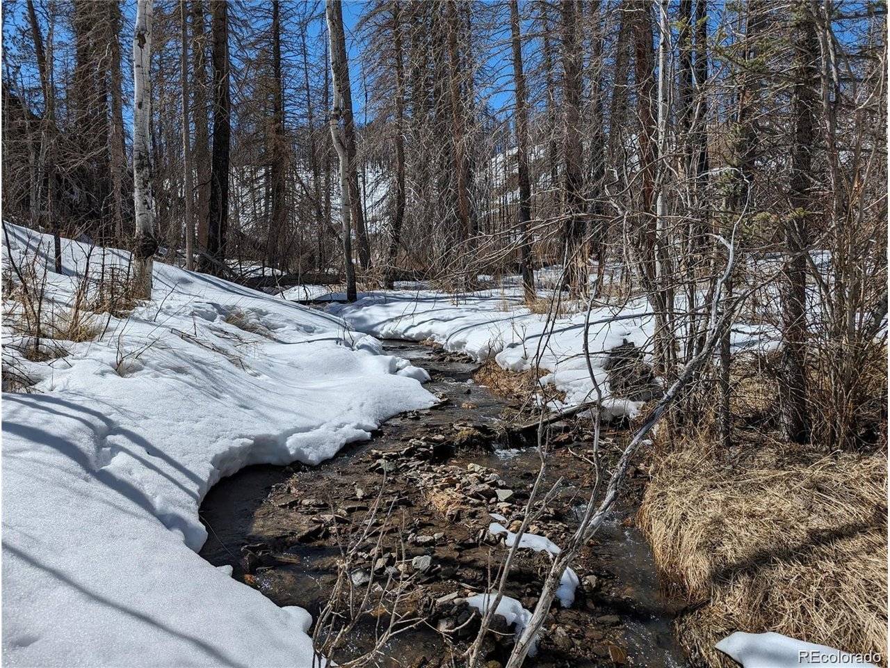 60 Powder Horn, Bellvue, CO 80512
