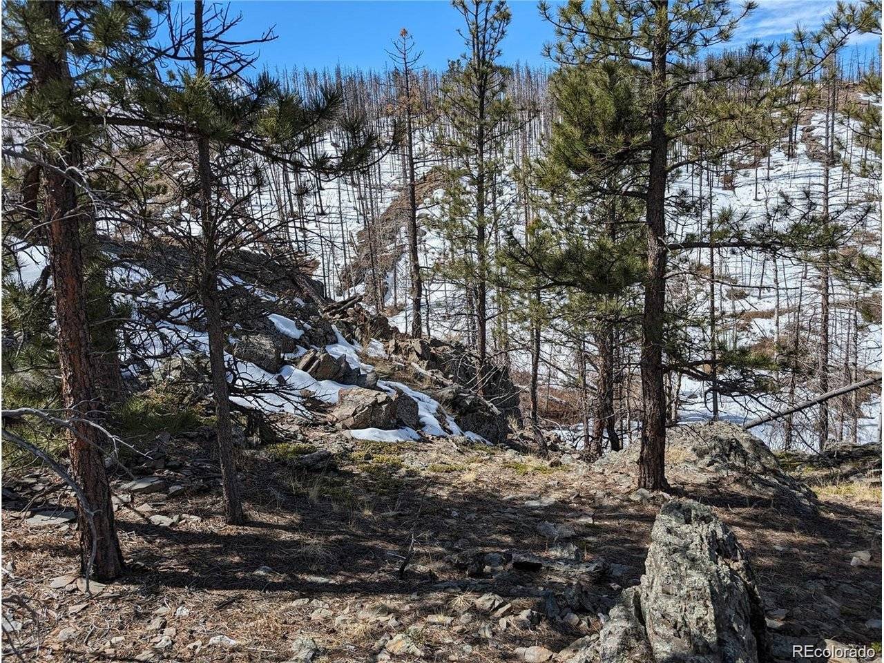 60 Powder Horn, Bellvue, CO 80512