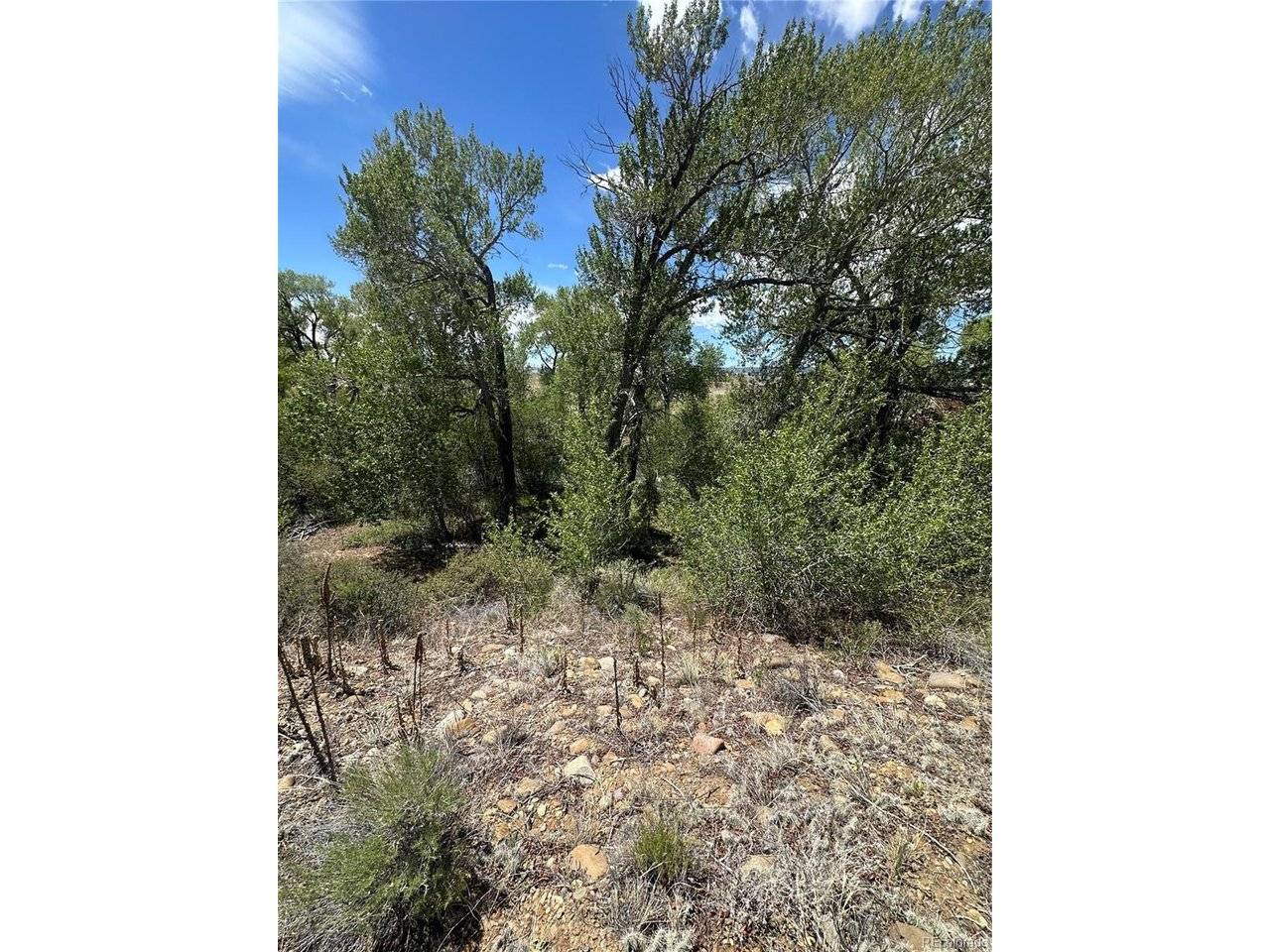 109 Alamosa River Estates, Capulin, CO 81124