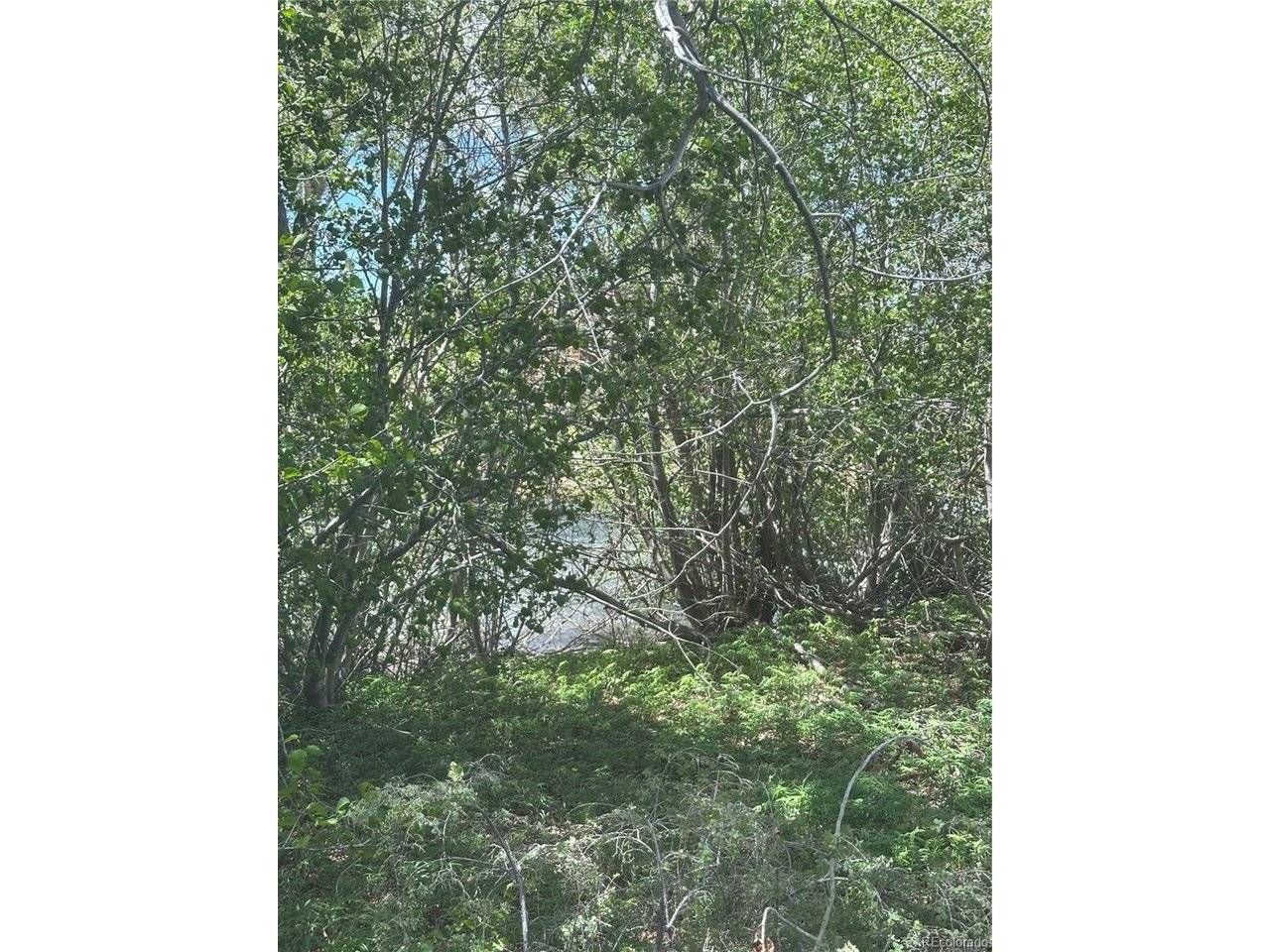 109 Alamosa River Estates, Capulin, CO 81124