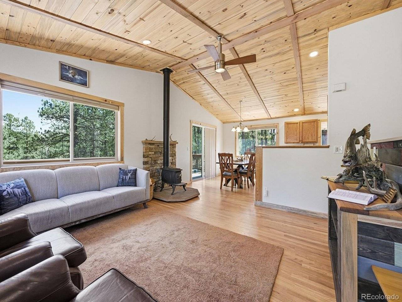 234 Impala, Bailey, CO 80421