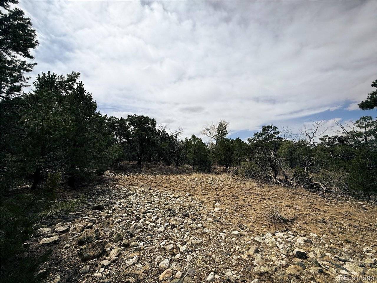76 Mill Run, Mosca, CO 81146