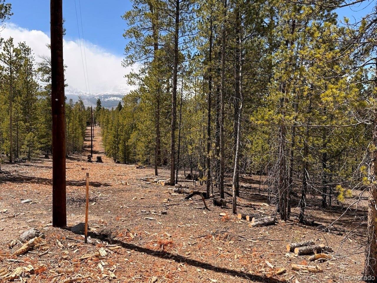 104 Spruce, Twin Lakes, CO 81251