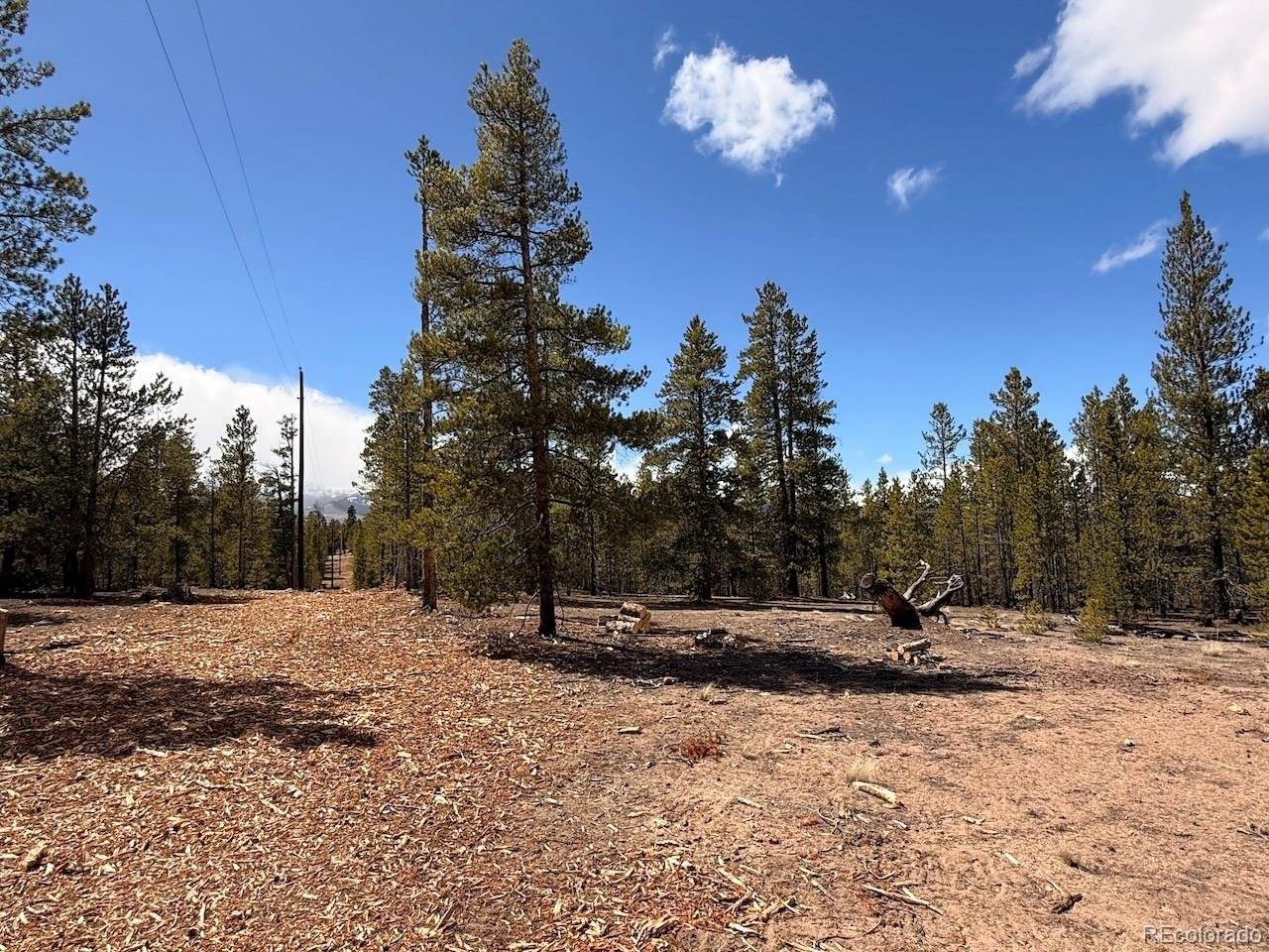 104 Spruce, Twin Lakes, CO 81251