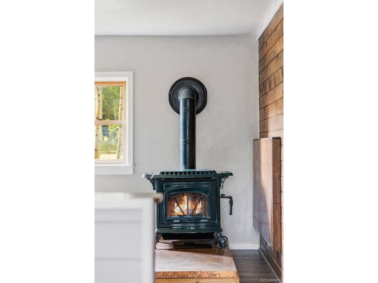 133 Gold Run, Alma, CO 80440