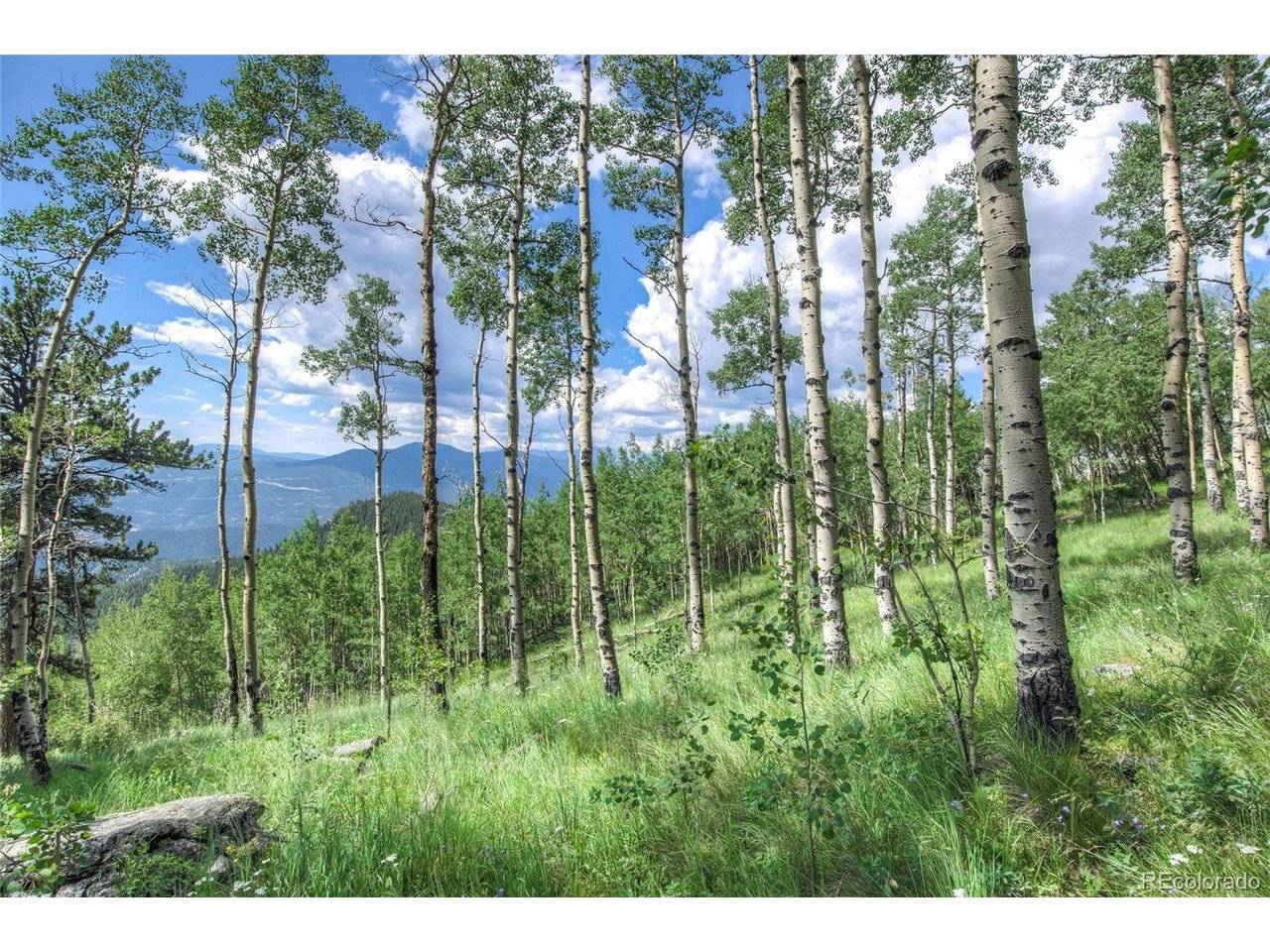 0 Robinson Hill, Golden, CO 80403