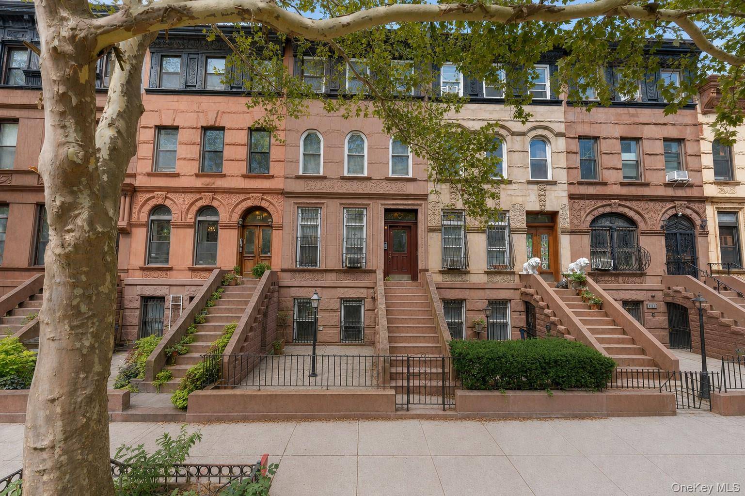 393 Park PL, Brooklyn, NY 11238