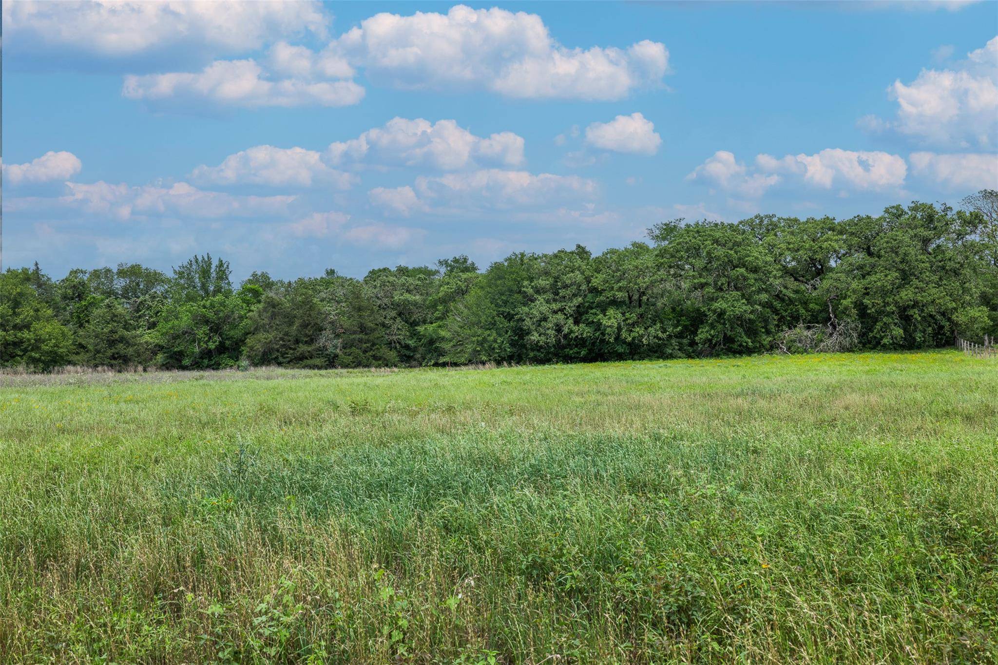 1572 St Hwy 36 N HWY, Caldwell, TX 77836