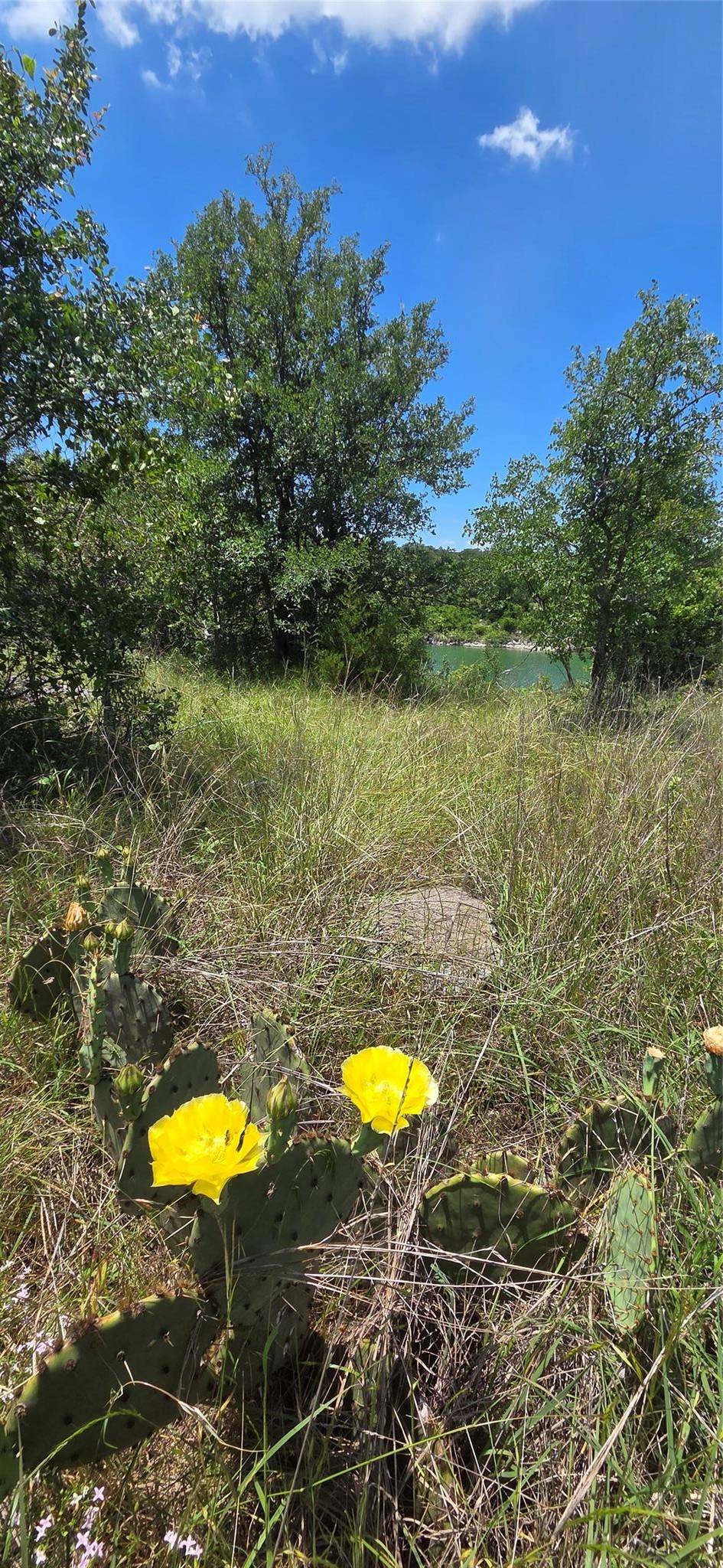 3, 4, 5 Mojave LN, Morgan's Point Resort, TX 76513