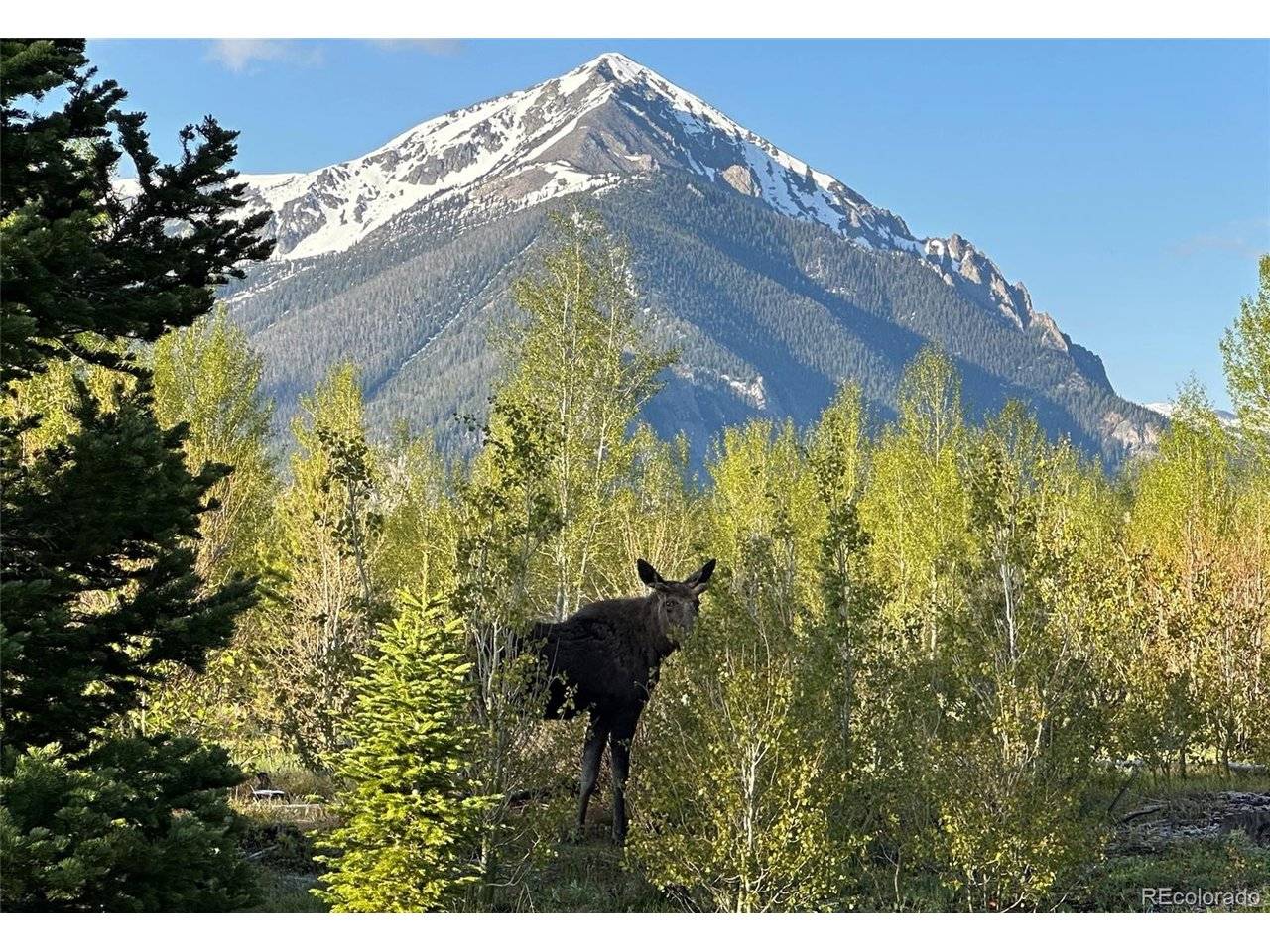 70 Black Diamond #71B, Silverthorne, CO 80498