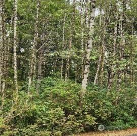 12 Chabot RD, Copalis Beach, WA 98535