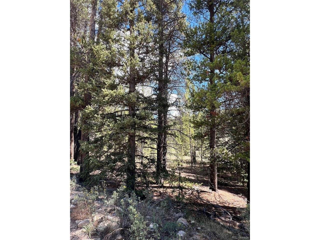 152 CO RD 665, Fairplay, CO 80440