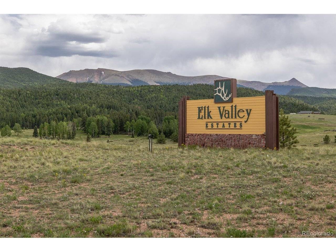 6100 Elk Valley, Divide, CO 80814