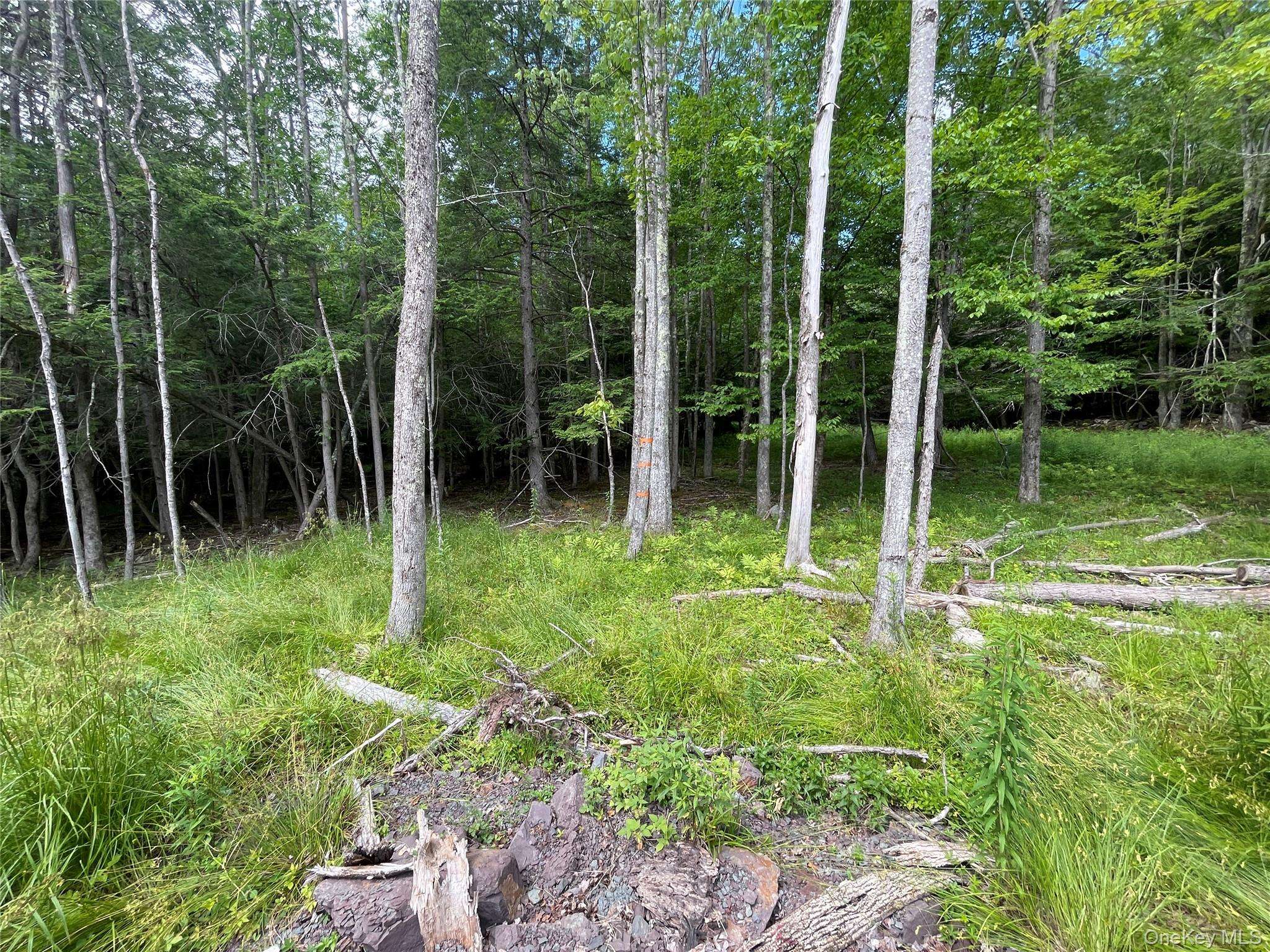 TBD Boulder Brook lot B14 RD, Windham, NY 12496