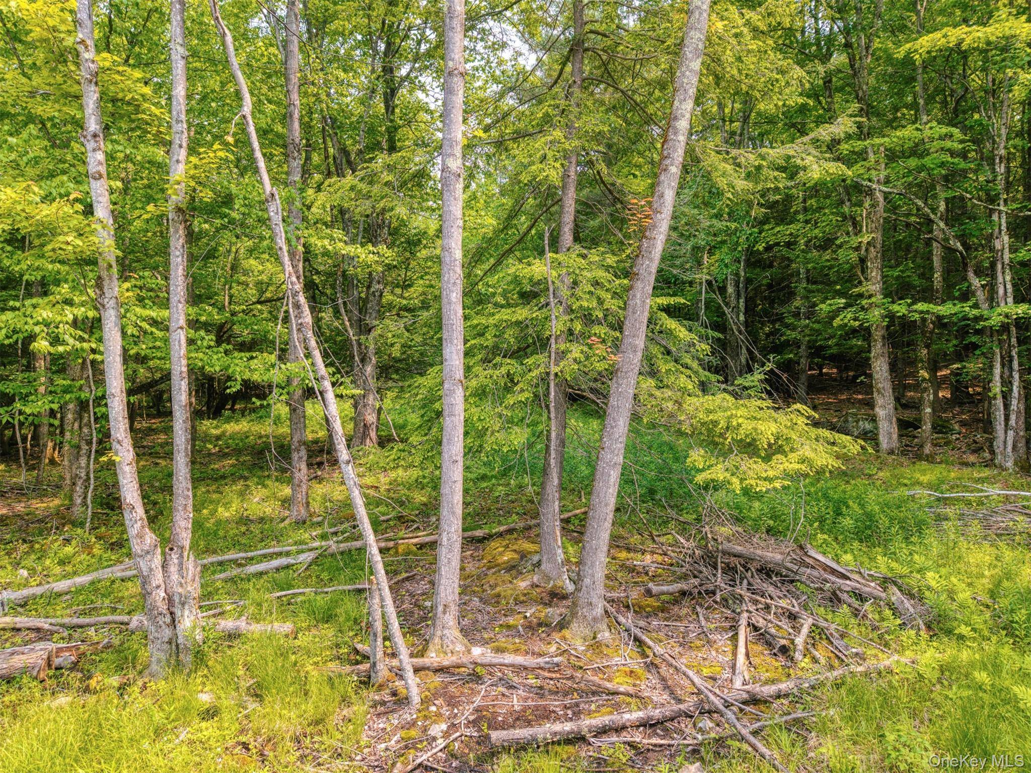 TBD Boulder Brook lot B14 RD, Windham, NY 12496