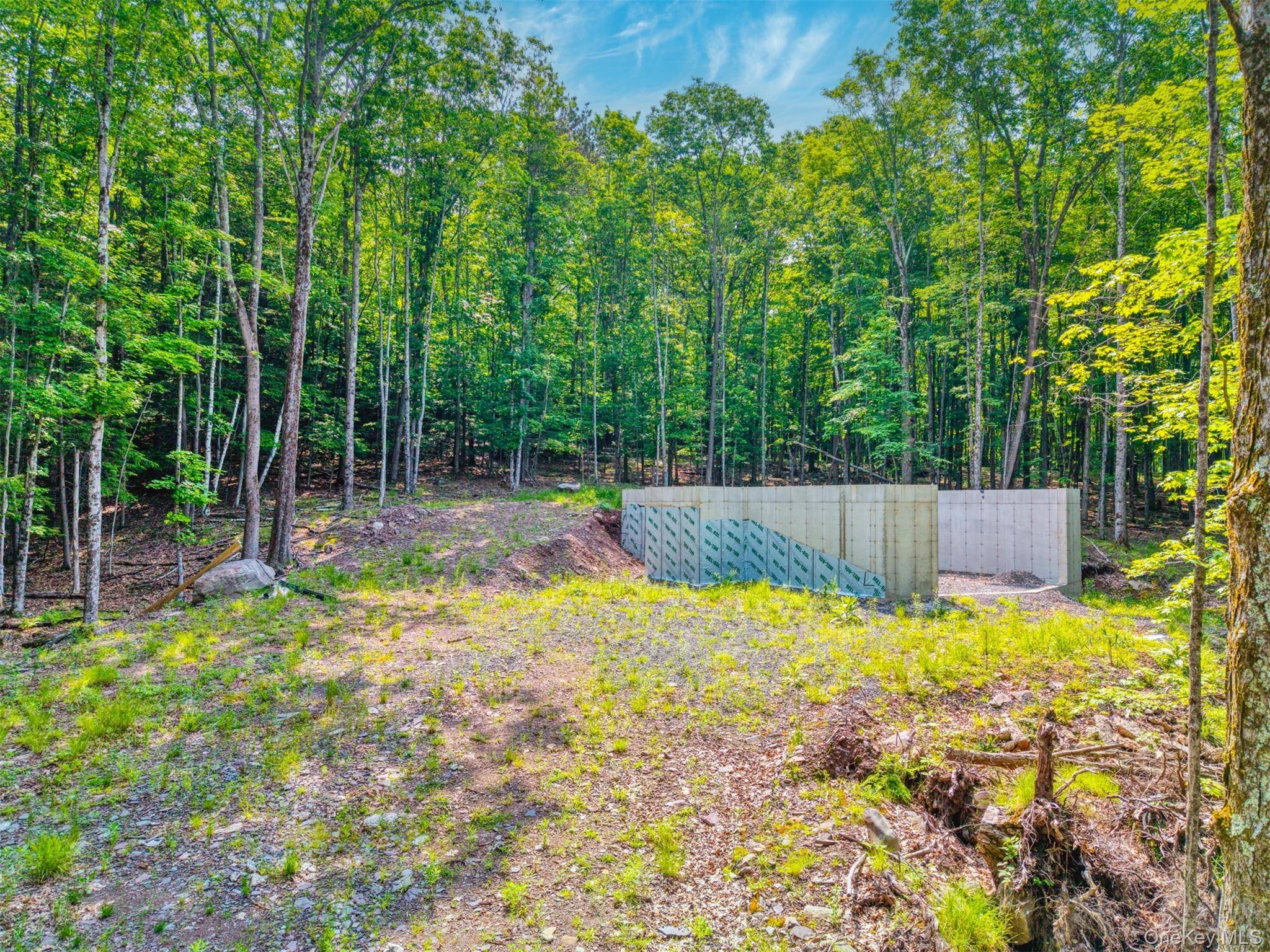 TBD Boulder Brook Lot 11 RD, Windham, NY 12496