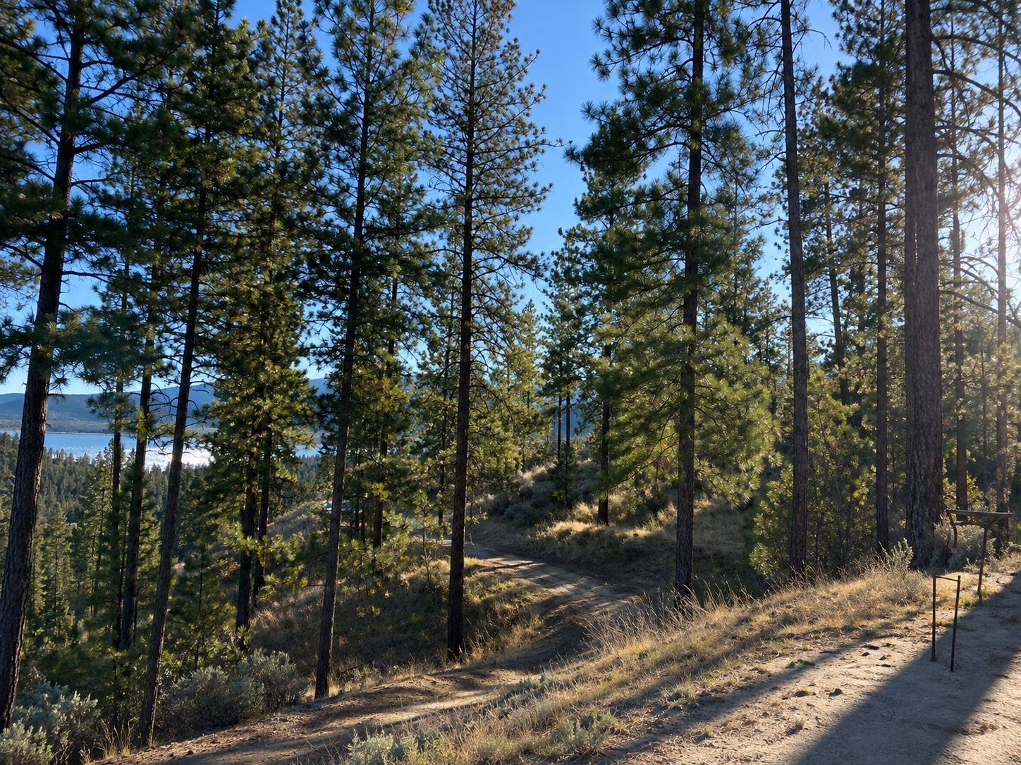 510 Hunt Ln, Seven Bays, WA 99122