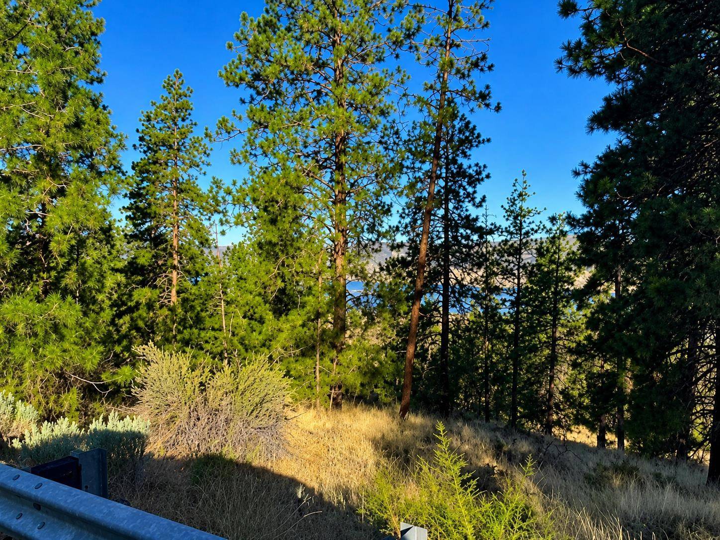 510 Hunt Ln, Seven Bays, WA 99122