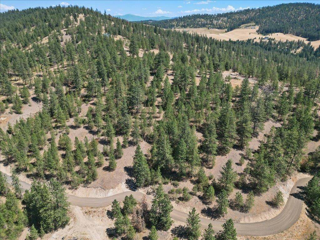 NKA Weaver WAY #Lot 2 of Lot 3, Deer Park, WA 99006