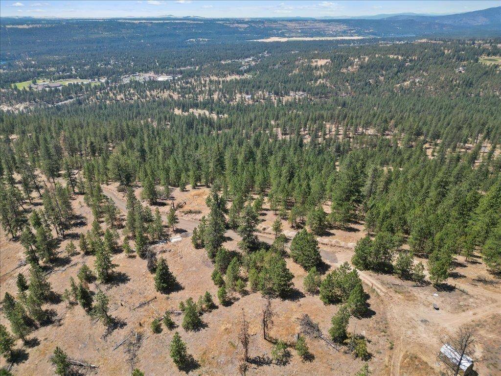 NKA Weaver WAY #Lot 2 of Lot 3, Deer Park, WA 99006