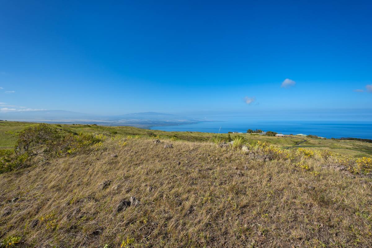 LEHIWA WAY, Kamuela, HI 96743
