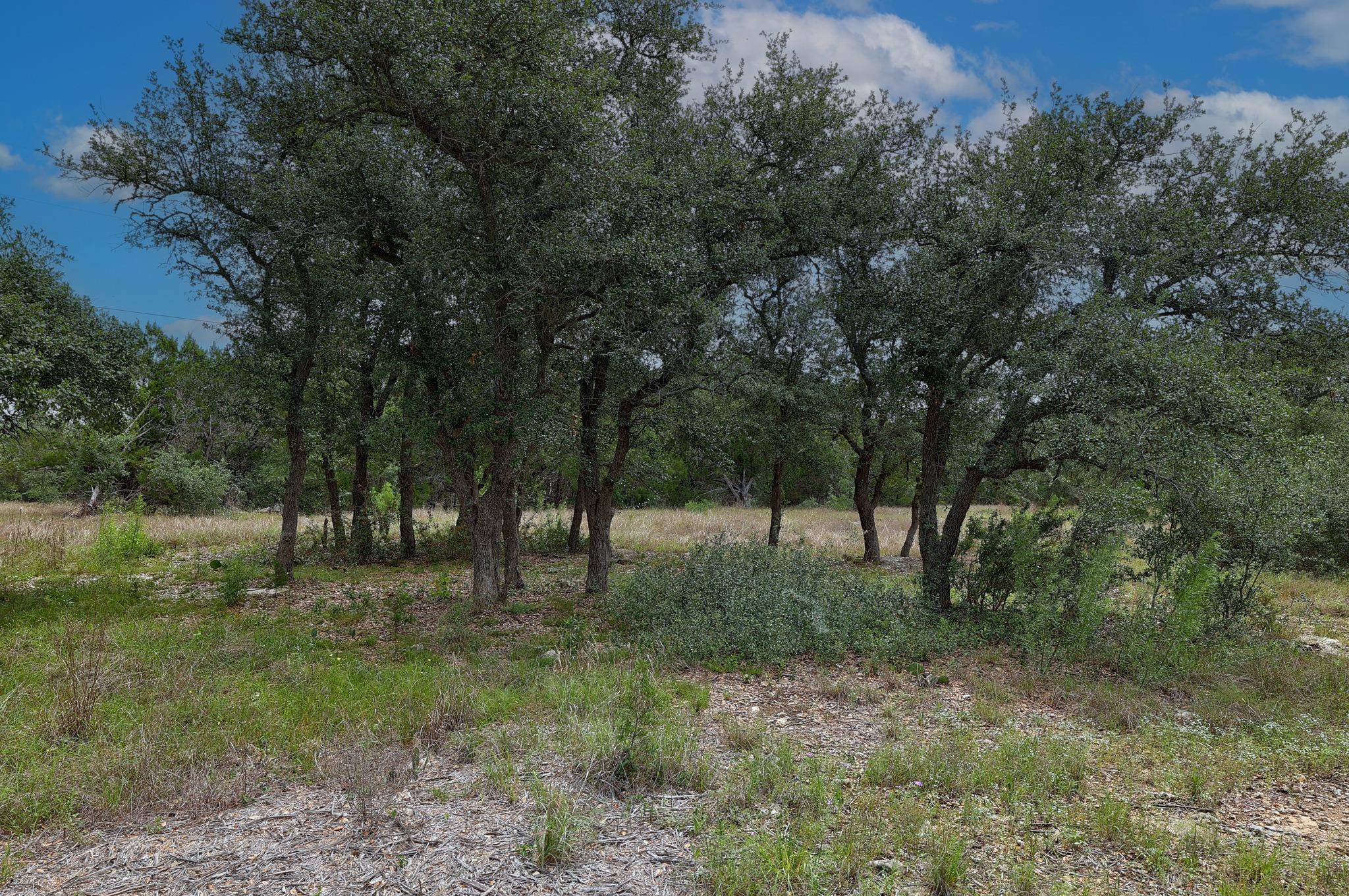 1400 Panther Creek RD, Driftwood, TX 78619