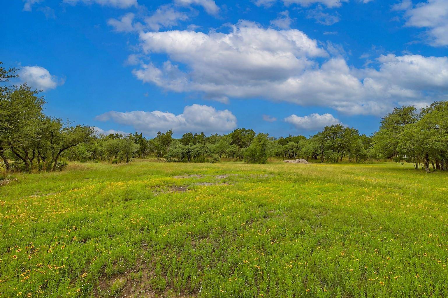 1400 Panther Creek RD, Driftwood, TX 78619