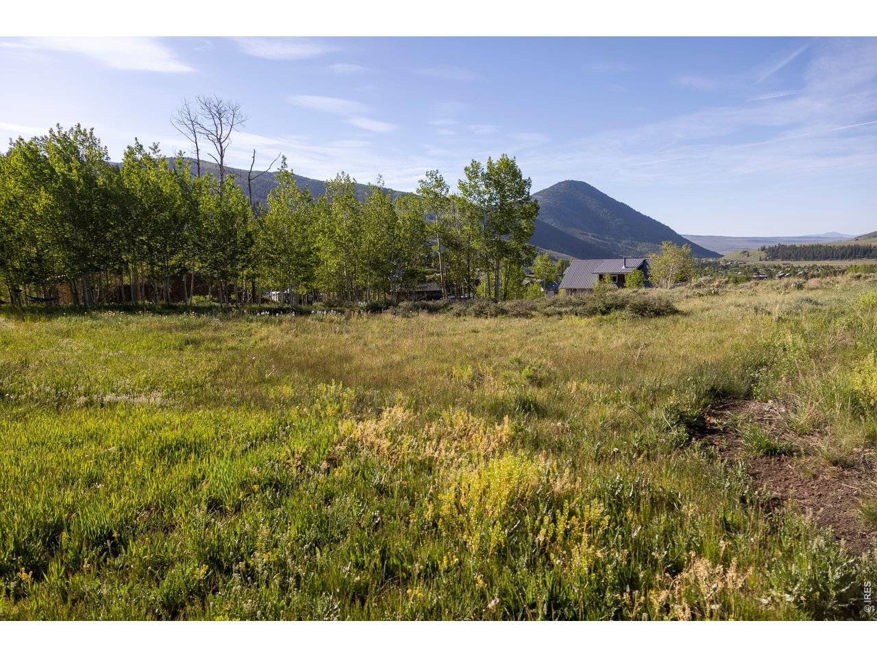 451 Zeligman, Crested Butte, CO 81224