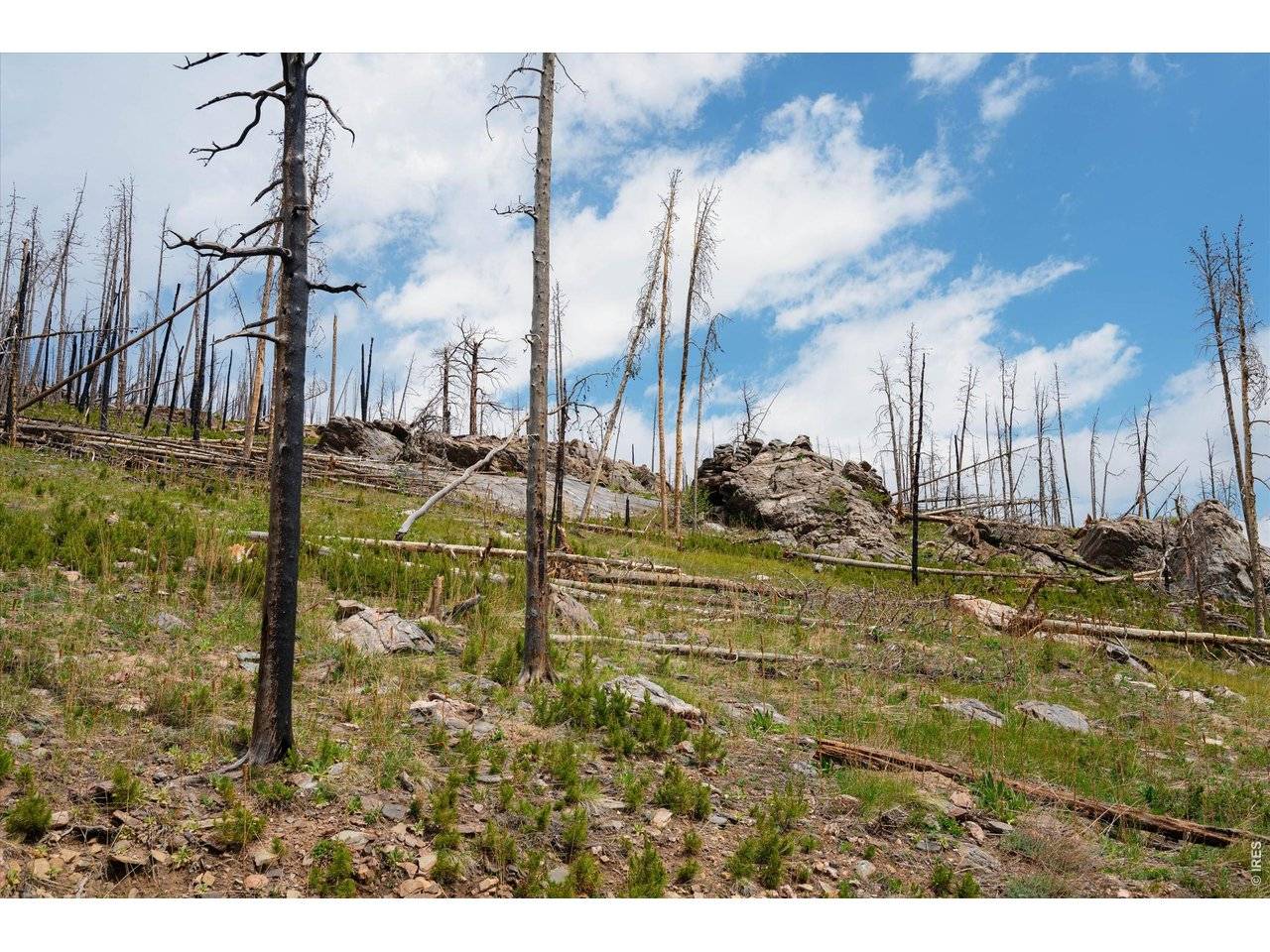 30 Sheep Horn, Bellvue, CO 80512