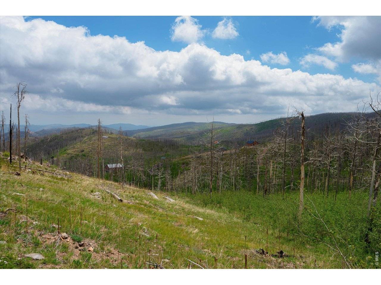 30 Sheep Horn, Bellvue, CO 80512