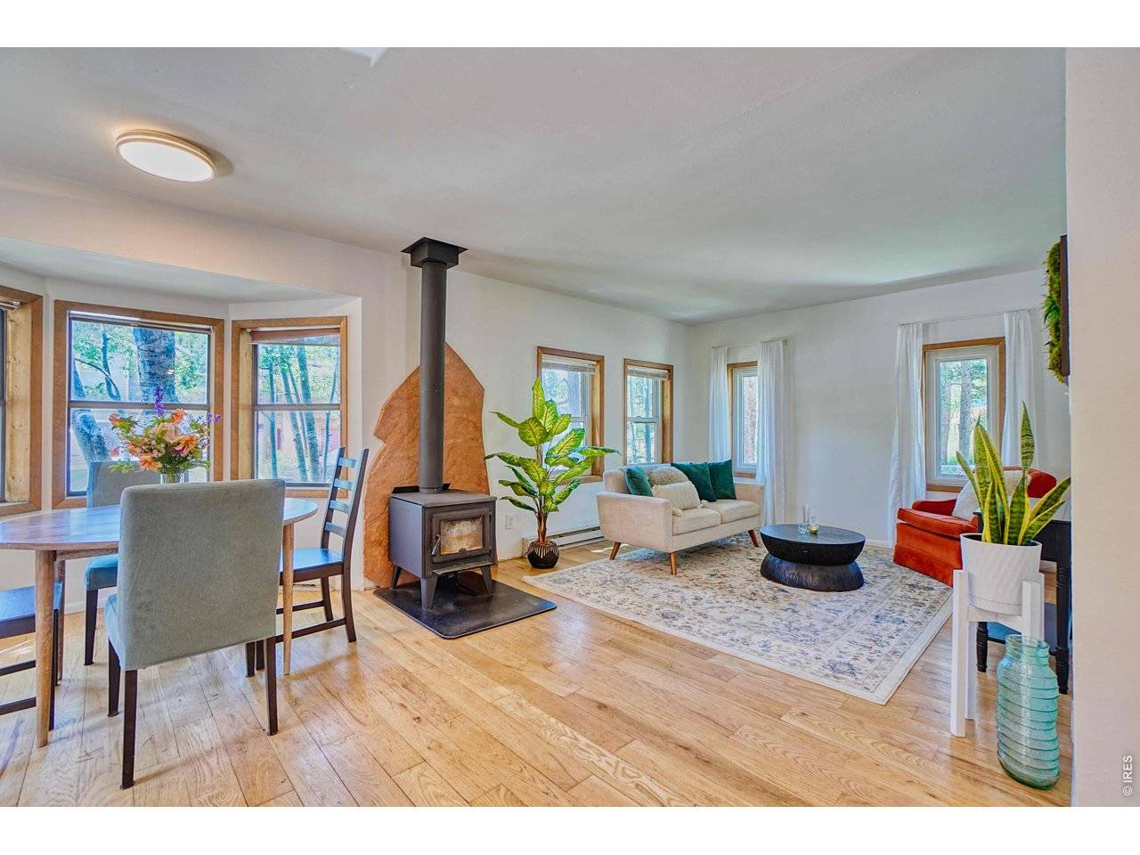 253 W Breed, Nederland, CO 80466