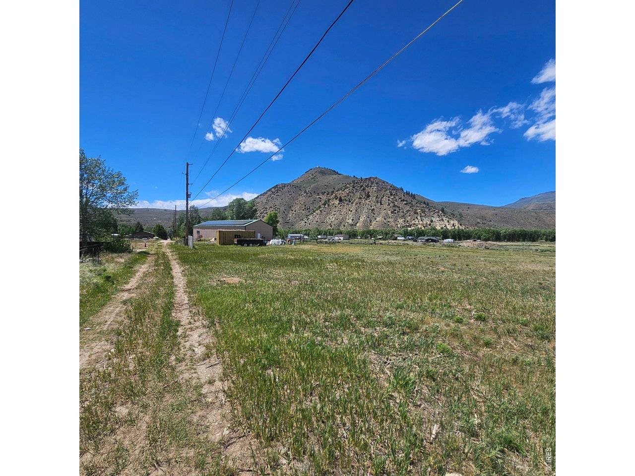 Cedar, Hot Sulphur Springs, CO 80451
