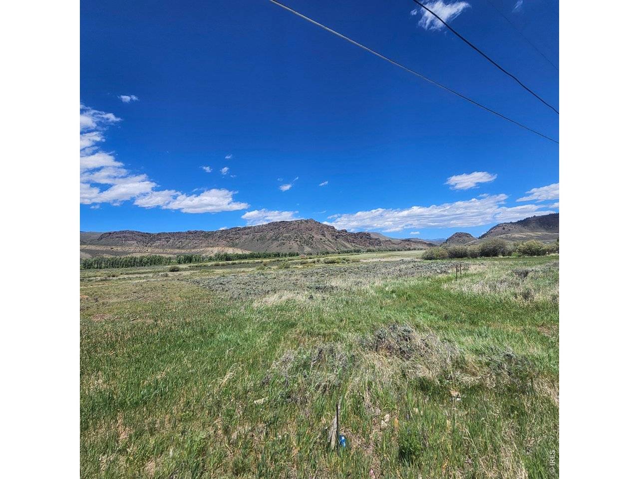 Cedar, Hot Sulphur Springs, CO 80451