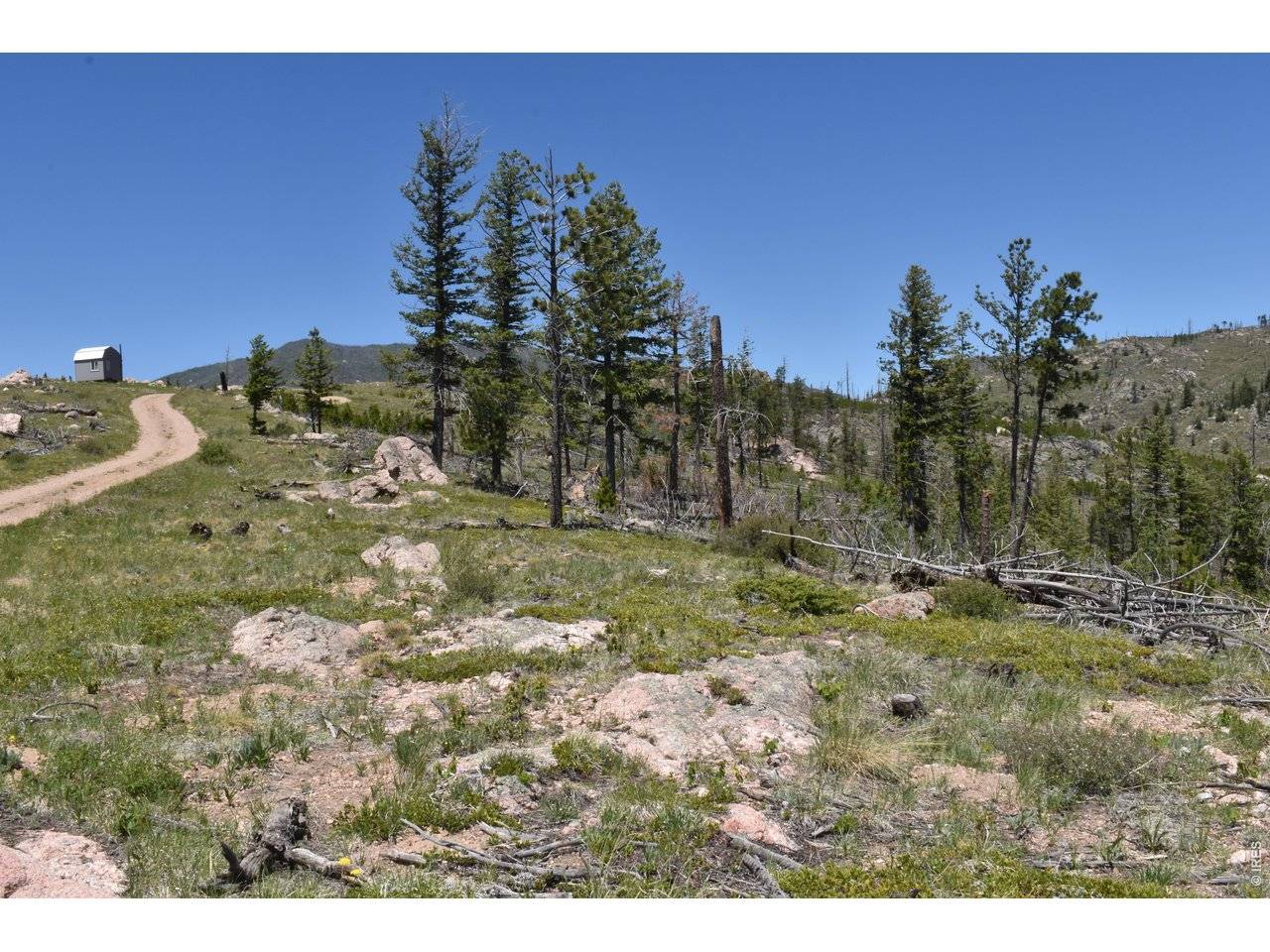 1989 Spencer Mountain, Bellvue, CO 80512