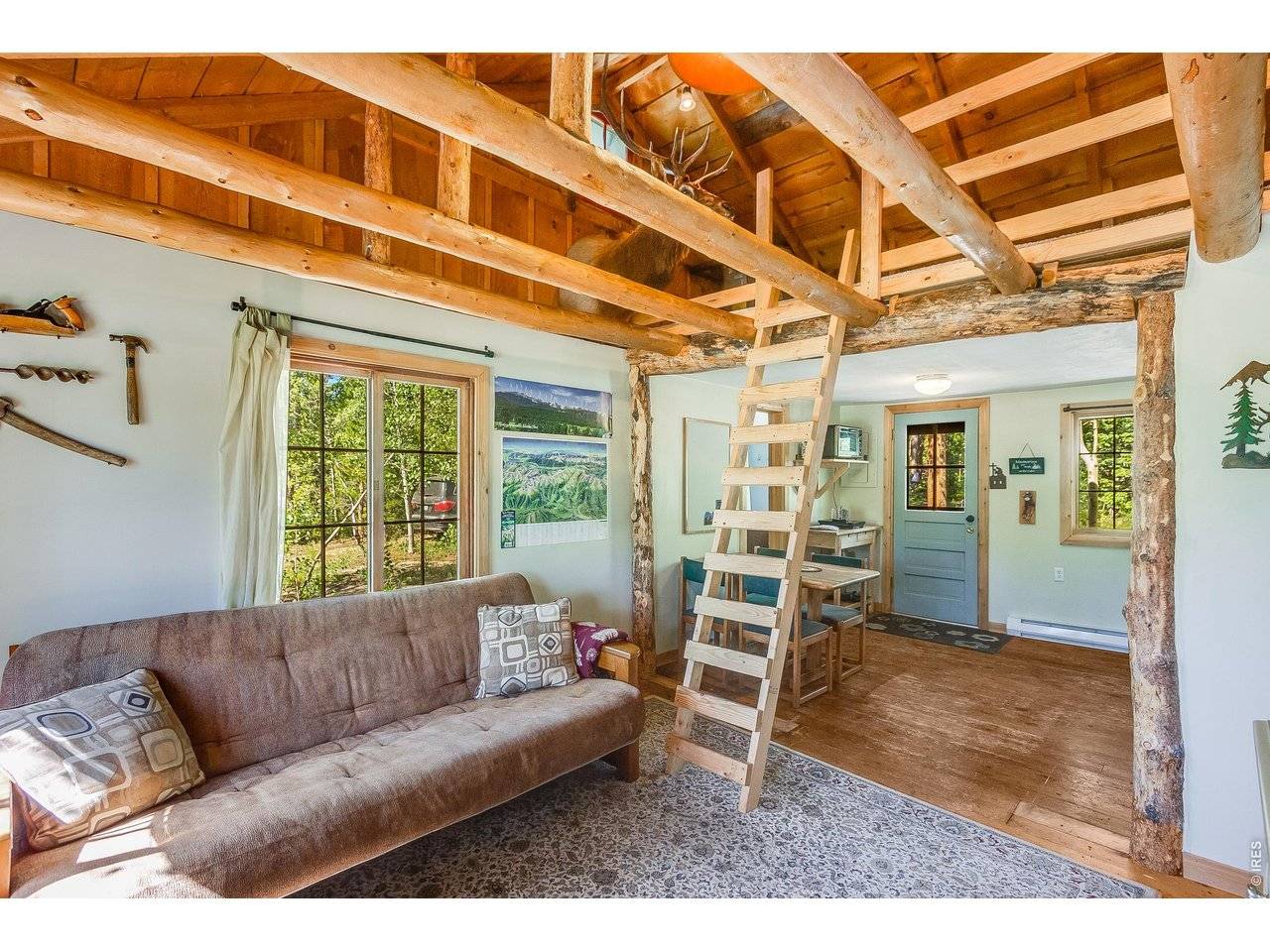 11614 Peak To Peak, Allenspark, CO 80510