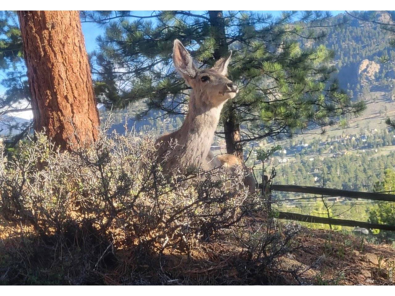 2709 Sunrise, Estes Park, CO 80517