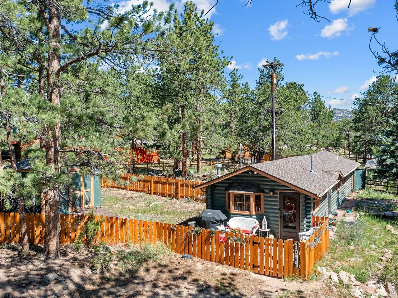 1099 Lexington, Estes Park, CO 80517