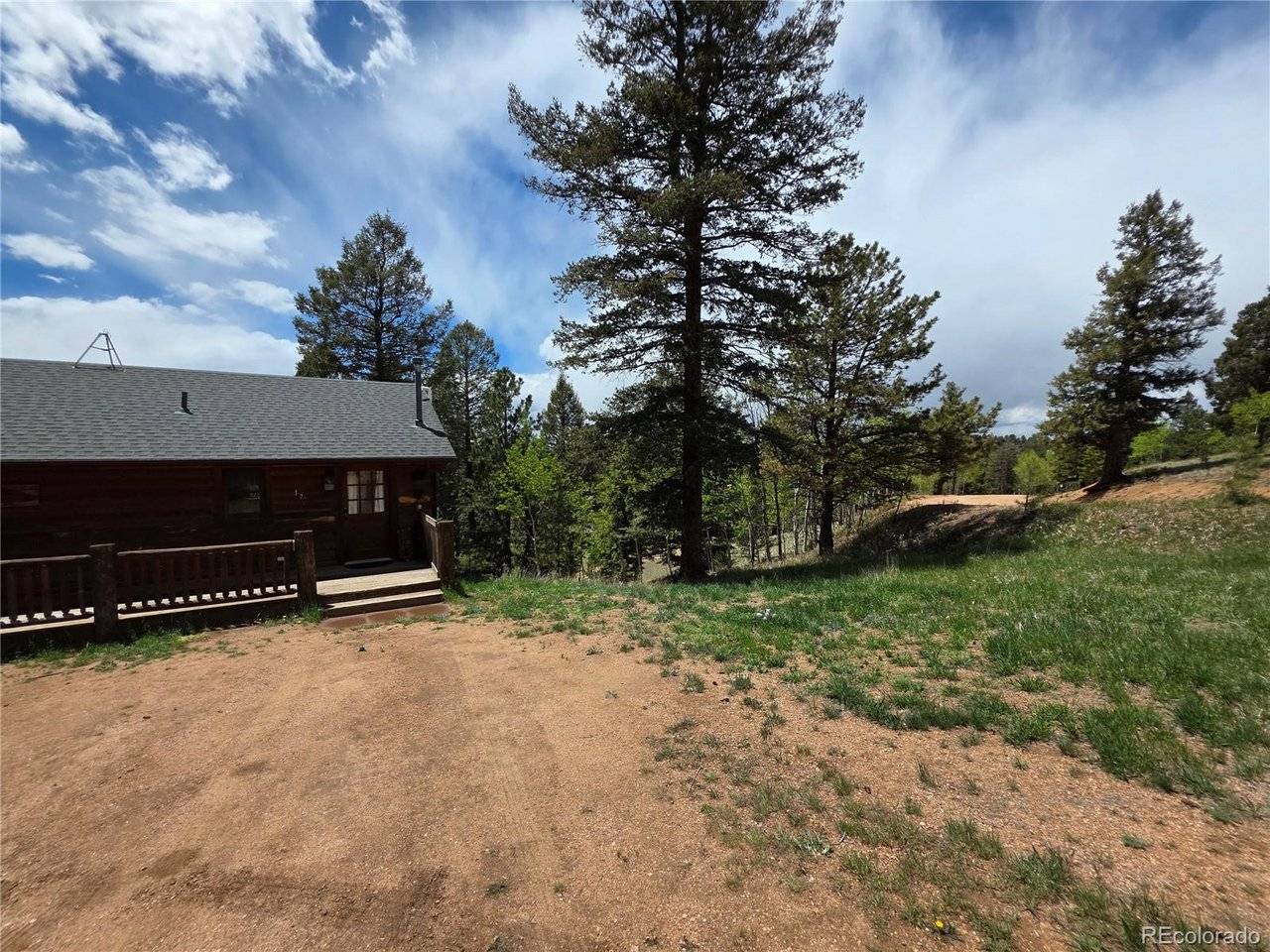 17 Deer Lake, Divide, CO 80814