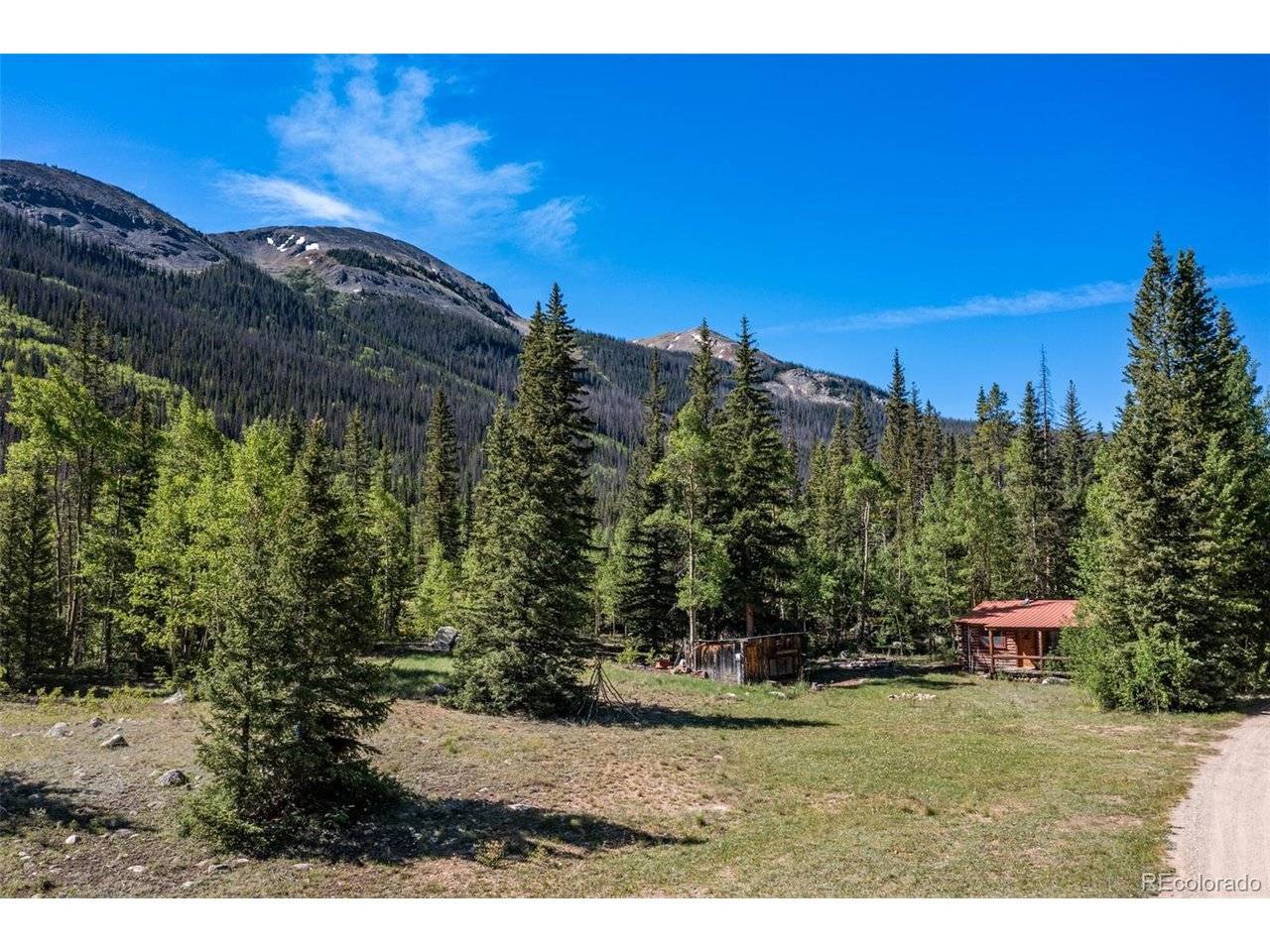 18990 Cr-294, Nathrop, CO 81236