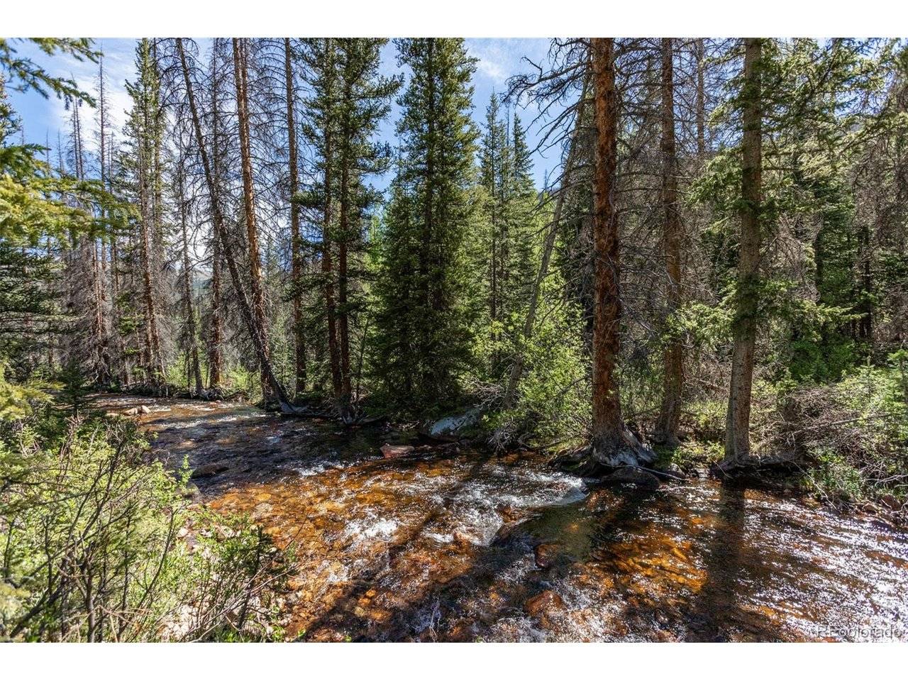 18990 Cr-294, Nathrop, CO 81236