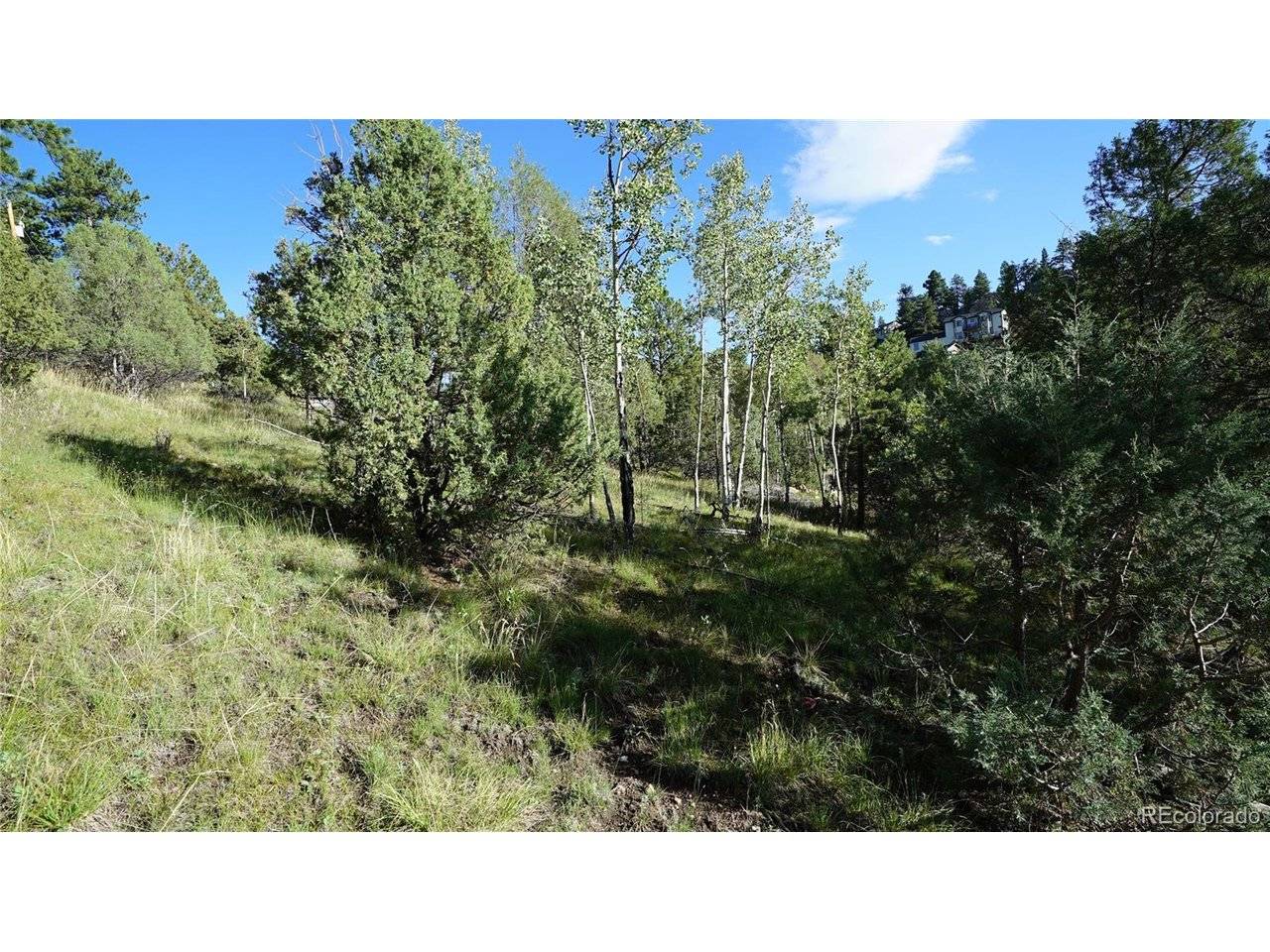 Bob Cat, Bailey, CO 80421