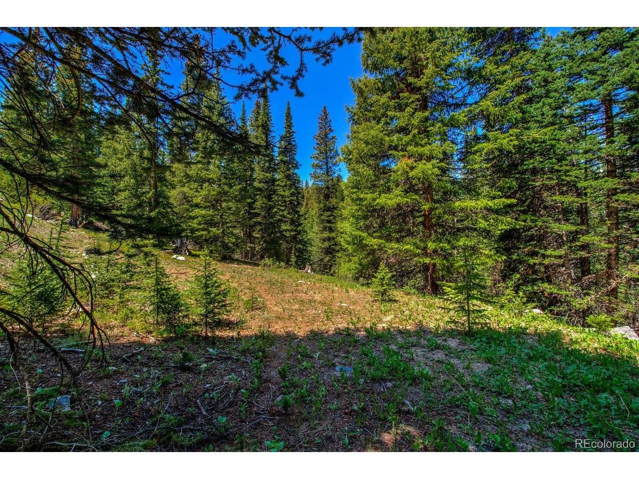 307 CR 674, Breckenridge, CO 80424