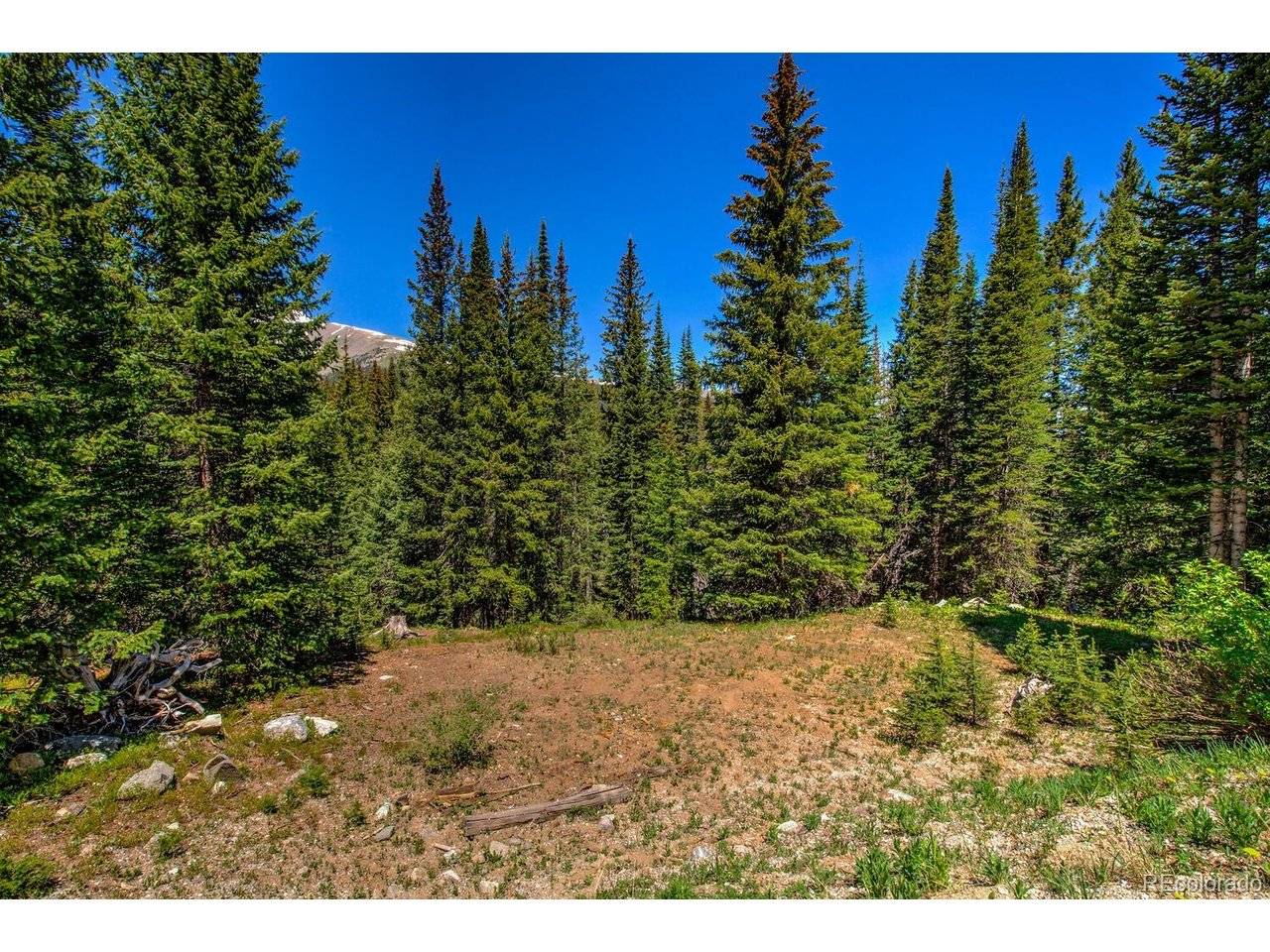 307 CR 674, Breckenridge, CO 80424