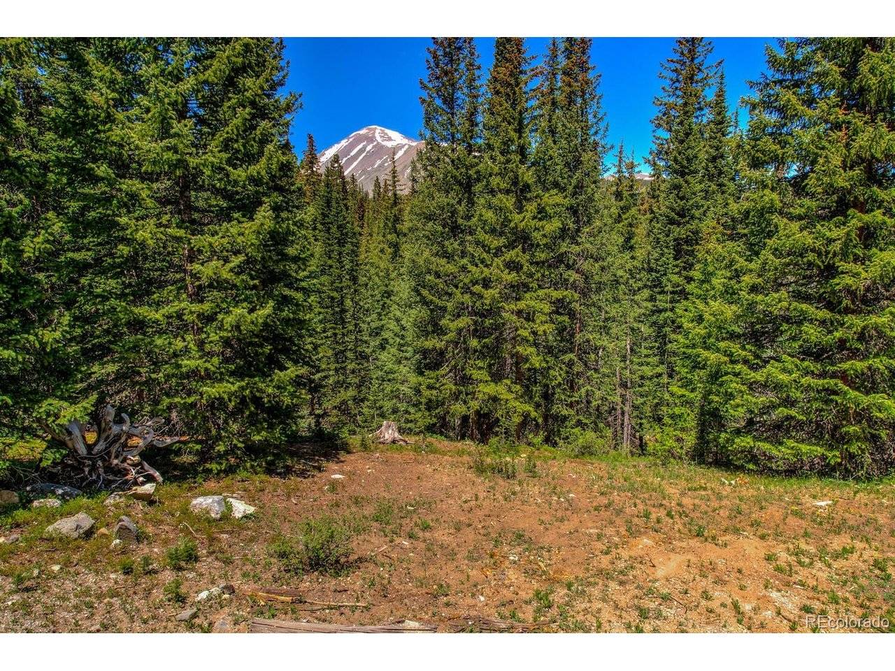 307 CR 674, Breckenridge, CO 80424