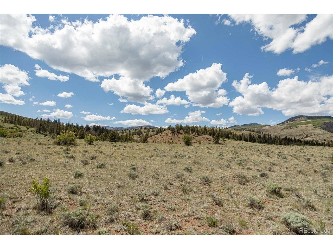TBD Hwy 149, Creede, CO 81130